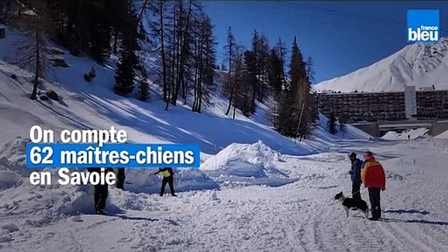 La Plagne : une simulation d’avalanche pour l’entraînement des maîtres-chiens