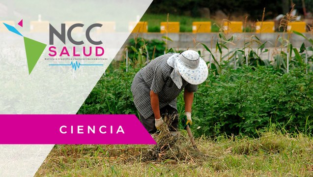 Prácticas sostenibles, entre las alternativas contra el glifosato en México