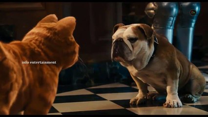 Garfield Bangla Funny Dubbing | Cat And Dog Bangla Dabing Funny Video | Garfild | Ctv Media
