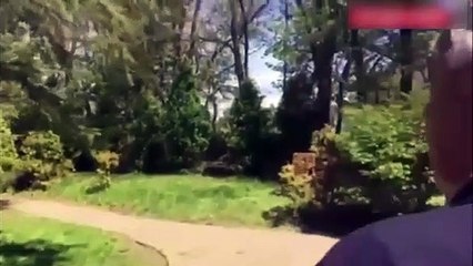 Yürüyüşe dikkat! Gülen'in yeni görüntüleri ortaya çıktı