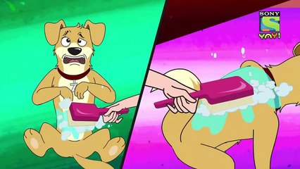 நாய் நிகழ்ச்சி | Stories For Children | Funny Videos | Kids Videos | Cartoon For Kids