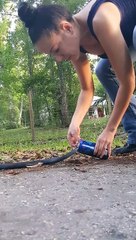 Download Video: Ils sauvent la vie d'un serpent dangereux coincé dans une canette