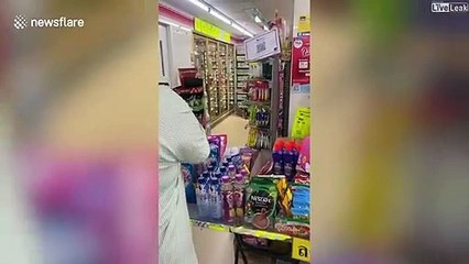 Quand un énorme lézard vient faire ses courses