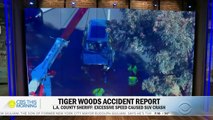 Investigators reveal cause of Tiger Woods SUV accident