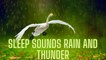 Sleep Music Rain - Storm Sounds for Sleep