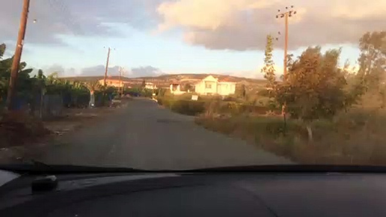 12_Bio_Eko_Bananas