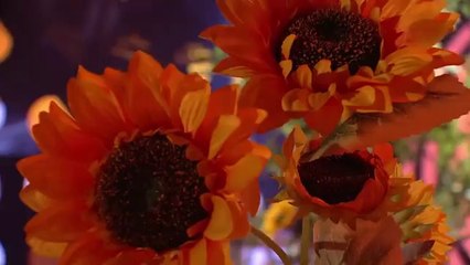 Petr Rychlý jako Štefan Margita a Hana Zagorová | Tvoje tvář má známý hlas Šampioni