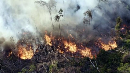 Organizações pedem mais compromisso do Brasil com meio ambiente