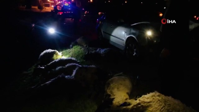 Otomobil hayvan sürüsünün arasına daldı: 29 küçükbaş hayvan telef oldu