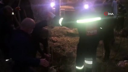 Kuyuya düşen inek kurtarıldı