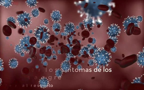 Cómo detectar los síntomas de los coágulos de sangre y qué hacer al respecto