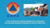 Sama-sama Andal Tangani Bencana, Apa Perbedaan BNPB dan Basarnas?