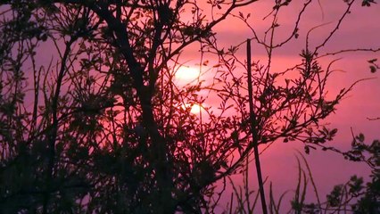 From the Rio Grande to New York City: the end of a perilous journey for migrants from Central America