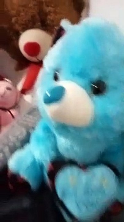 teddy