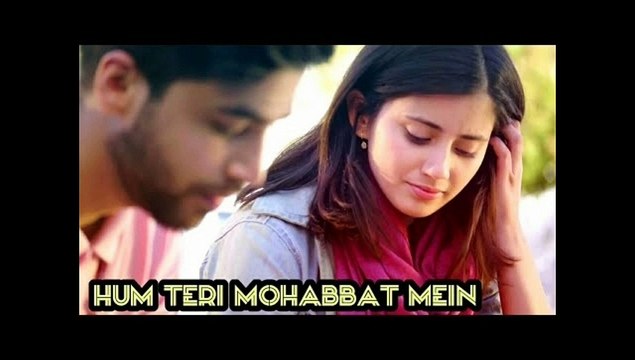 Hum Teri Mohabbat Mein Yun Pagal Rahte Hain