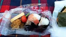 500 Yen Meal in Japan Red Salmon, Tuna, Chicken, Sausage, Nori & Rice Ball