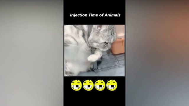 VÍDEOS DIVERTIDOS Y GRACIOSOS DE TIK TOK 2021 - videos de risa 2021