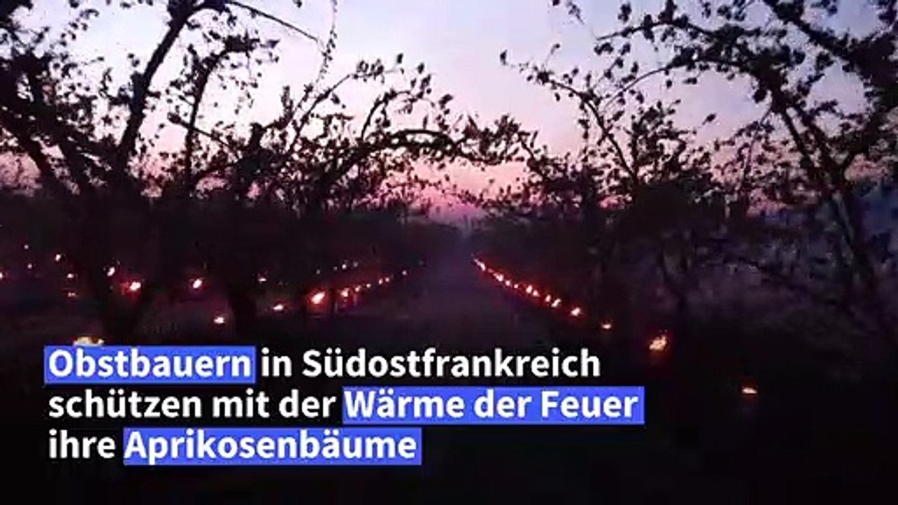 Mit Feuer gegen den Frost im Frühling
