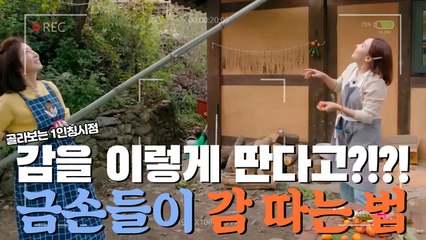 아니 누가 이렇게 감을 위험하게 따냐구요ㅋㅋㅋㅋㅋ 전인화X소유진 감 따기 대소동