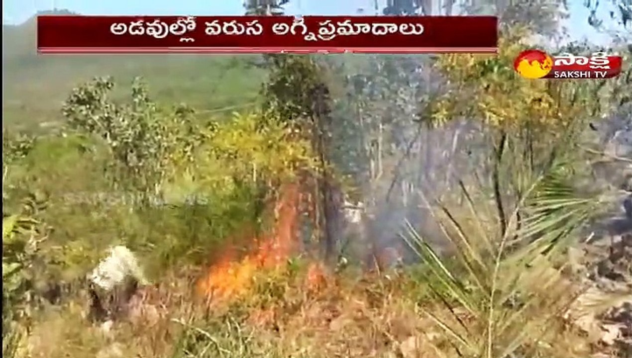 అడవుల్లో వరుస అగ్ని ప్రమాదాలు