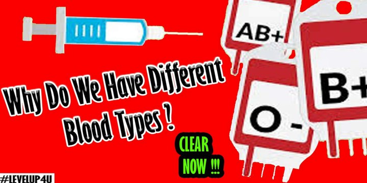 Why Do We Have Blood Groups|What Makes a Blood Type|Do They Really Matter|Carl Zimmer Investigates