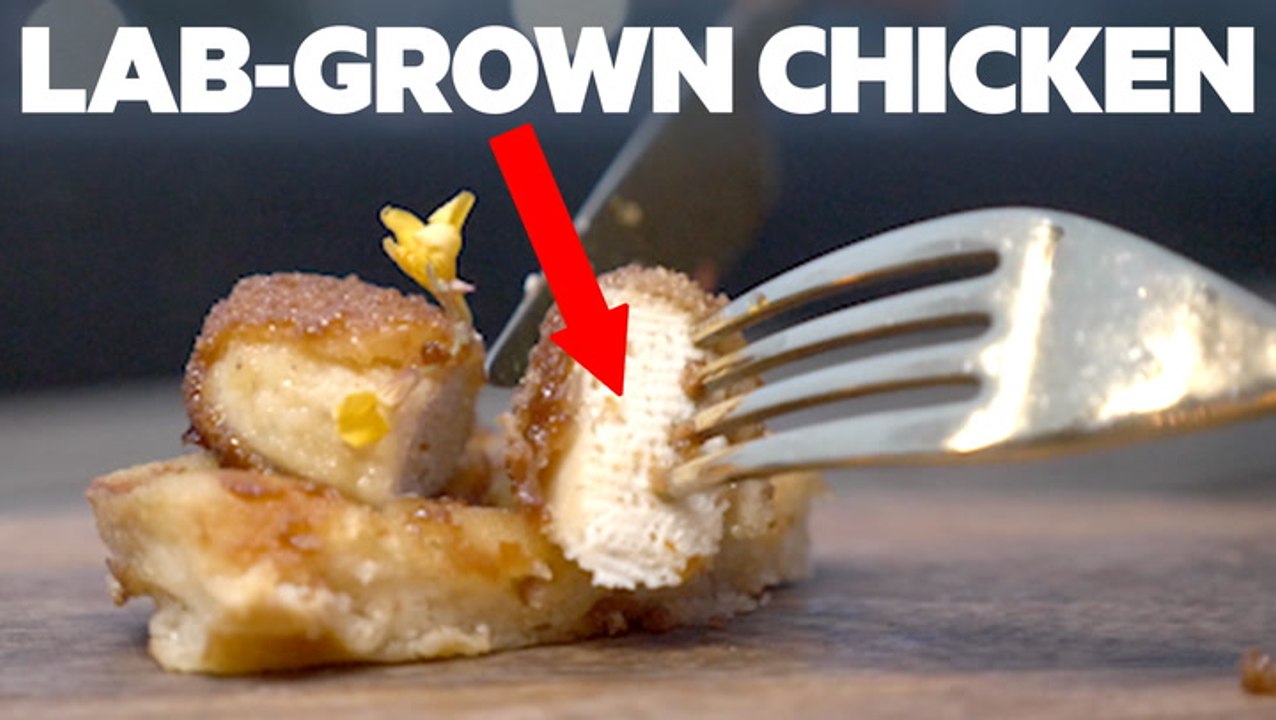 How one company is making real chicken from stem cells without killing any animals