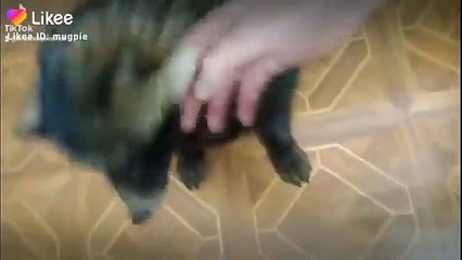 Как правильно мыть Кружочка_