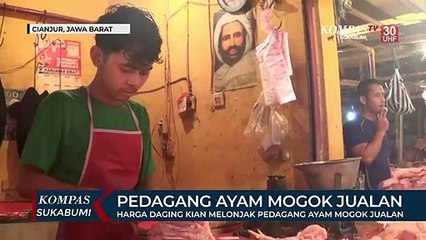 Harga Daging Kian Melonjak Pedagang Ayam Mogok Jualan