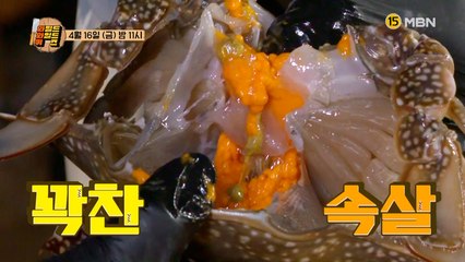 와일드 와일드 퀴즈 11회 예고