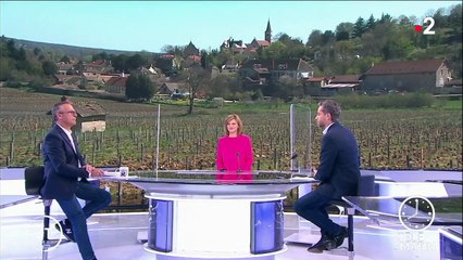 Gel : les viticulteurs ont perdu une grande partie de leurs récoltes