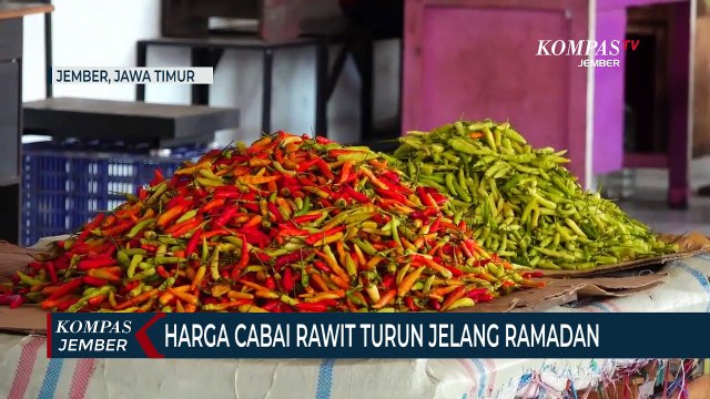 Pasokan Melimpah, Harga Cabai Rawit Turun Jelang Ramadan