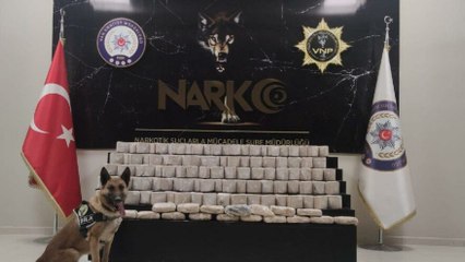Araziye gizlenen 61 kilo eroini narkotik köpekleri buldu