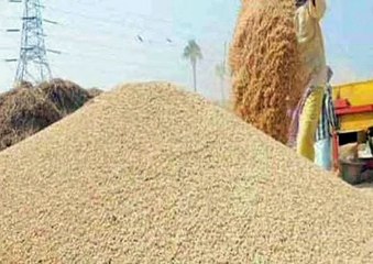 आधे से ज्यादा किसान रात में ही अनाज भरकर केंद्र पहुंचे वेयर हाउस पहुंचे