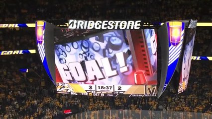 Live Nhl Goal Horns! (Pt. 5) [Hq]