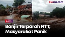 Masyarakat Desa Waiburak Panik Pasca Banjir NTT Terparah Dalam 10 Tahun Terakhir