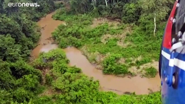 Выжить в джунглях: история чудесного спасения бразильского пилота