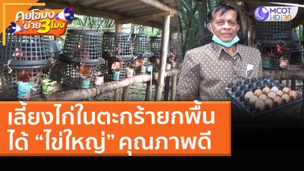 เลี้ยงไก่ในตะกร้ายกพื้น ได้ “ไข่ใหญ่” คุณภาพดี (9 เม.ย. 64) คุยโขมงบ่าย 3 โมง