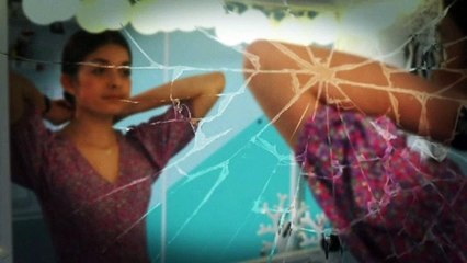 Collège Albert Calmette  - Limoges