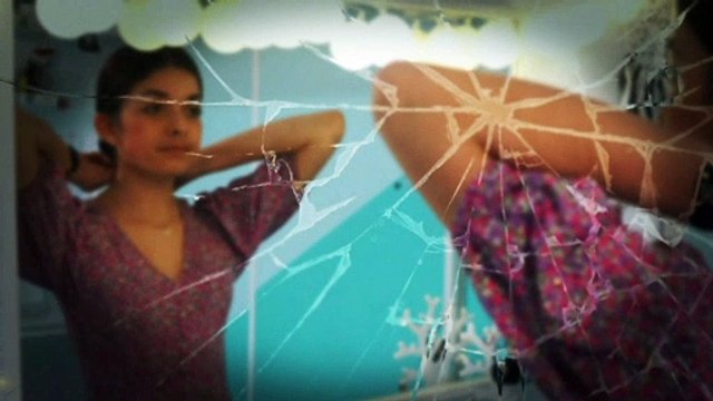 Collège Albert Calmette - Limoges