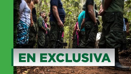 Los audios que revelan la rivalidad entre las disidencias de las Farc