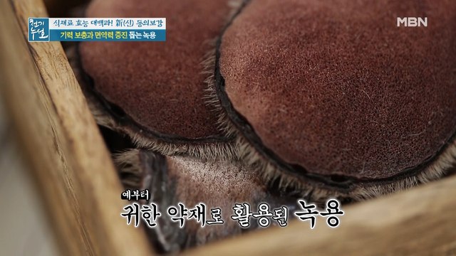 환절기 면역력 관리 끝판왕 '녹용'