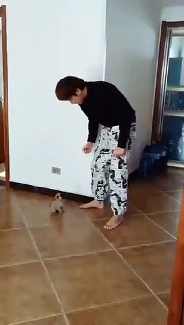 Best videos, Top videos, Viral videos Funny videos no. 66