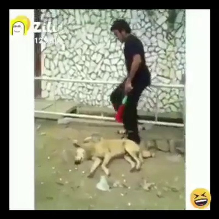 funny video 