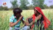 अकेली ब्यान ने गेहूं के खेत में ब्याई को बुलाया फीर मचा घमासाण - मनोरंजन से भरपूर राजस्थानी मारवाड़ी कॉमेडी वीडियो | Rajasthani Comedy | Marwadi Comedy Short Films