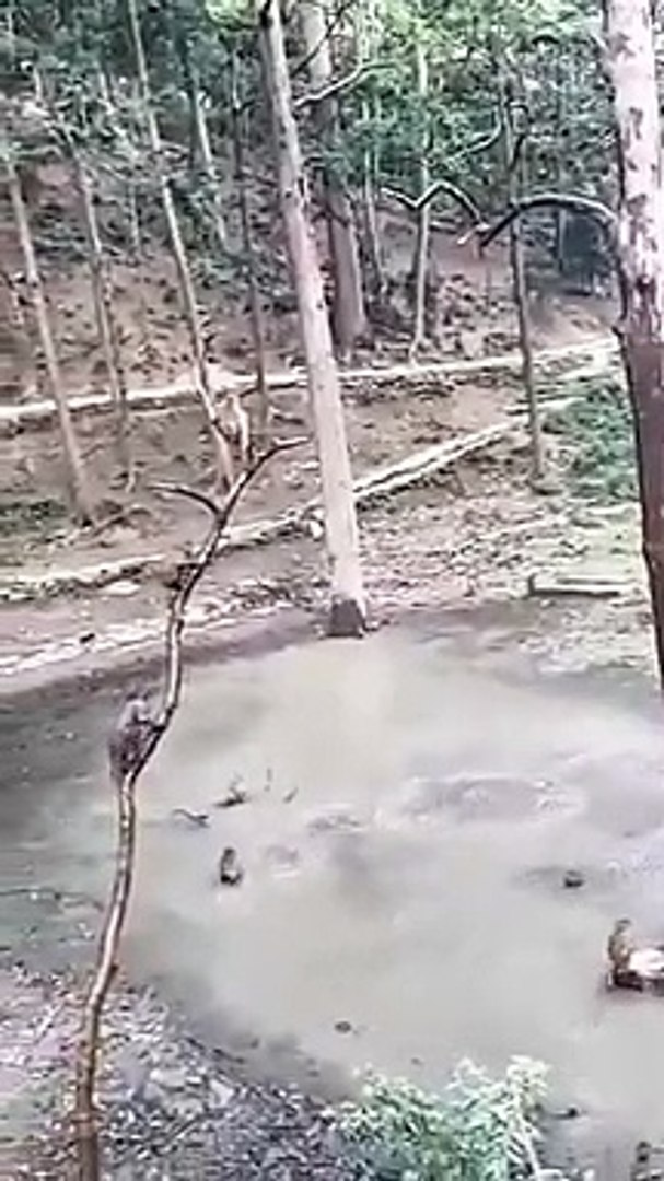 Best videos, Top videos, Viral videos Funny videos no. 72