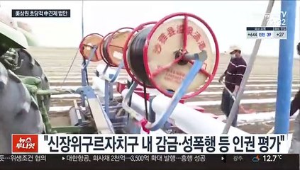 美상원 초당적 中 견제 법안 발의…"한국 중요한 동맹"