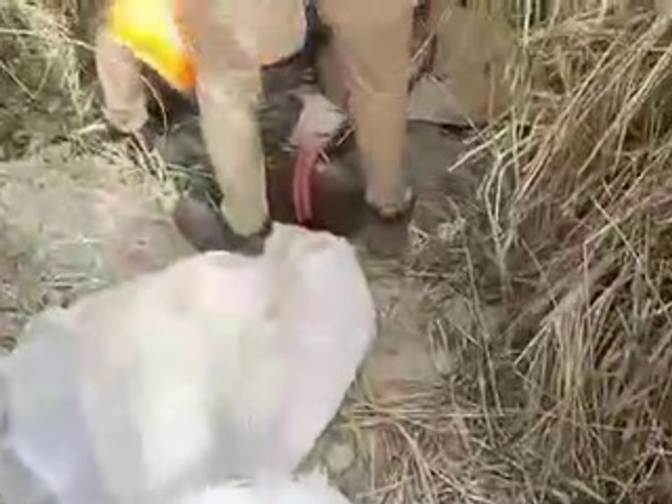 पुलिस ने 160 ली अवैध कच्ची शराब के साथ चार अभियुक्तों को किया गिरफ्तार