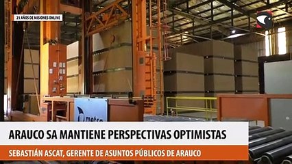 Arauco SA mantiene perspectivas optimistas