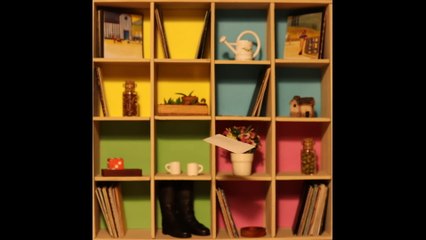 Paul McCartney - Long Tailed Winter Bird