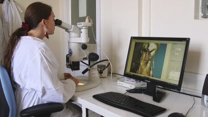 La pandemia de la covid, un nuevo desafío para la lucha contra el Chagas